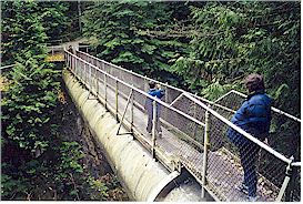 Pipeline bridge