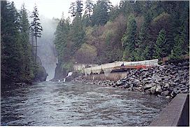 Salmon hatchery