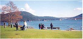 Big views of boats heading to and from Indian Arm
