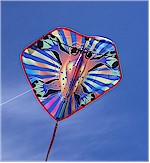 Here's our kite, it's a frog, with just enough wind