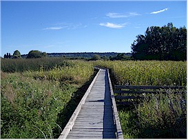 Tired of the beach? Try a walk along the boardwalk