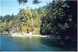 Beach at Larrabee State
Park