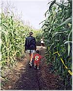 Here's Mom and Coleman trying
to find their way through the corn maze