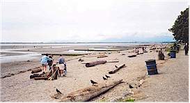 A big beach to play on