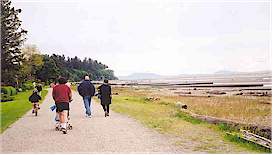 The beach path