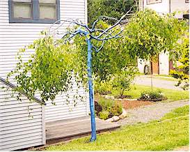 Look for the extremely rare blue tree as you enter Crescent Beach