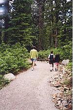 The Yew Lake trail takes you beautiful old growth, stunted trees, and only takes about 30 minutes and it's wheel-chair accessible