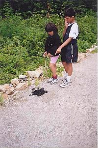 Yikes! Fresh bear poop on
the trail