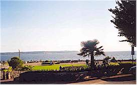 The palm tree makes you feel like your somewhere far away