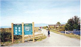 The West Dyke Trail starts at the north side of Garry Point Park