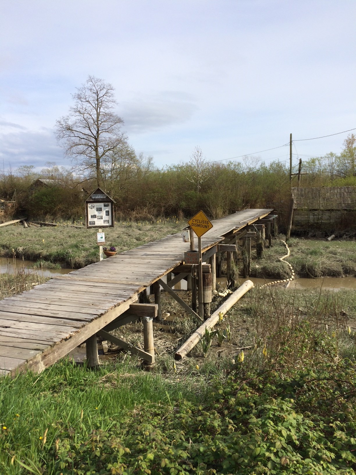 Bridge over the Slough