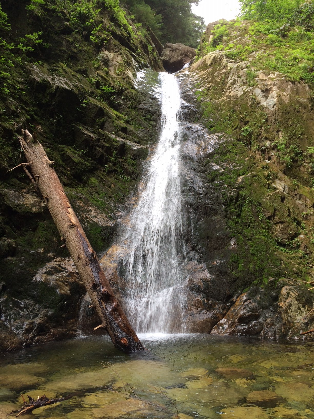 Forbidden Falls is just off the Fromme Mountain section of the trail