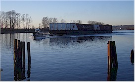 Check out the river traffic passing by Fraser Foreshore Park