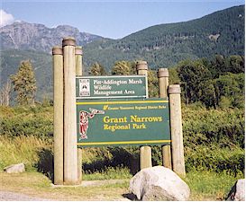 Photo Description