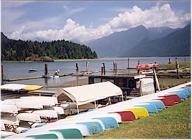 You can rent canoes at Pitt Lake