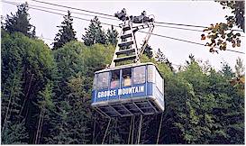 The Skyride will whisk you to the top of Grouse Mountain in minutes