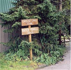 If you're in shape, you can hike the Grouse Grind Trail to the top of Grouse in about 50 minutes