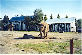 Greater Vancouver Zoo at Aldergroven