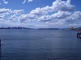 The view from the lookout tower