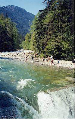 Clear, rushing waters of Lynn Creek