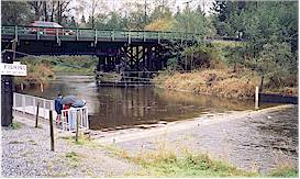 Watching the spawning salmon at the Kanaka Creek fish fence
