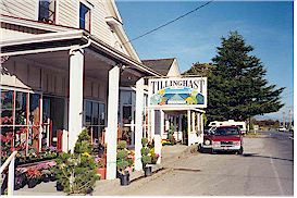 Tillinghast Seed Store on Morris St.