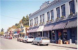 Stores in historical buildings along 1st St.
