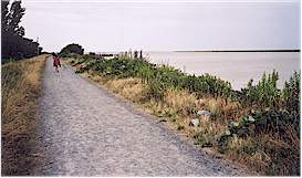 Dikes at the end of River Road are perfect for hiking or biking
