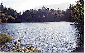 Pretty Browning Lake lies right alongside the highway