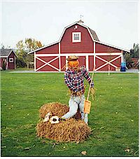 A pumpkin scarecrow at the farm in October