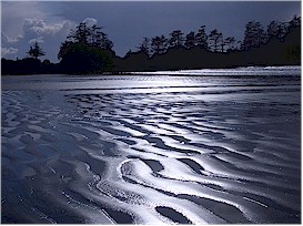 At low tide you can walk out to Frank's Island