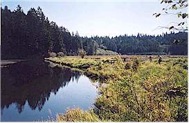 We went to for a hike around the
marsh
