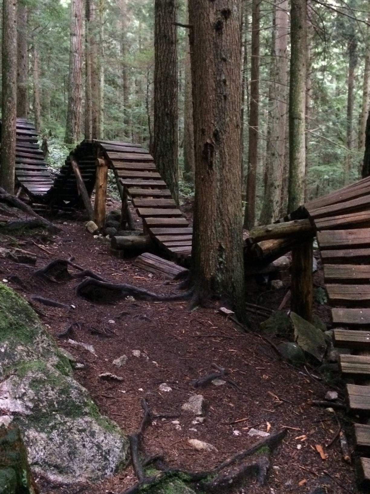 The Crippler trail on Fromme Mountain