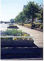 The boardwalk along the Fraser River