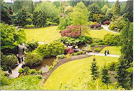 The Sunken Garden