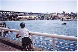 Looking towards Granville Island
from the north side of False Creek