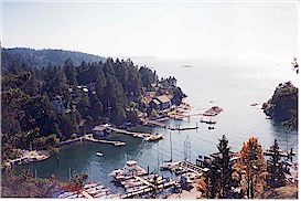 View of Fisherman's Cove from the Seaview Walk