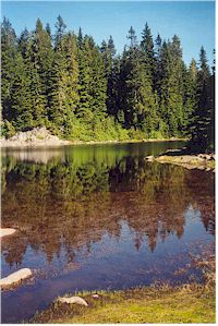 The serenity of little Goldie
Lake