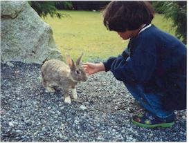 Jen had fun feeding the 'wild' rabbits that live near the Roadhouse Diner
at Klahanie