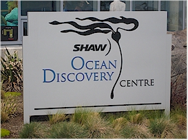 At the Shaw Ocean
Discovery Centre a "diving bell" lowers you "below the surface" to
explore the sealife of the Salish Sea"