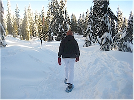 On the way to Hollyburn peak