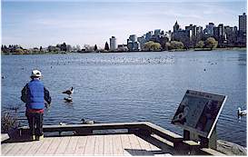 Lost lagoon