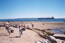 Stearman Beach at low tide