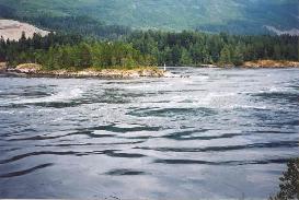 We visited the Skookumchuck rapids but we were an hour too early before peak change in
tide