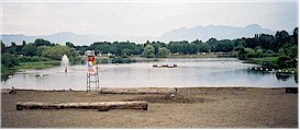 Trout Lake in John Hendry Park