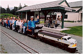 Miniature Train