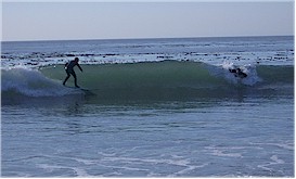 Fort Ebey State Park Surfers
