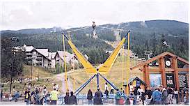 Bungy jumping