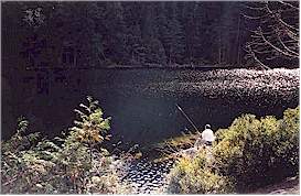Pleasant Brohm Lake is a couple kilometres past Alice Lake