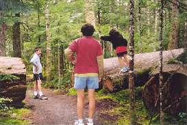 Monkeying around on our walk through the Whistler Interpretive forest